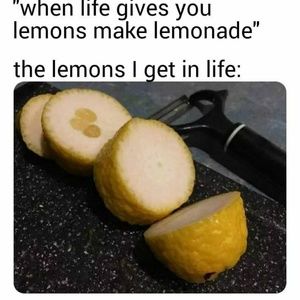 Meet your Posher, Frank